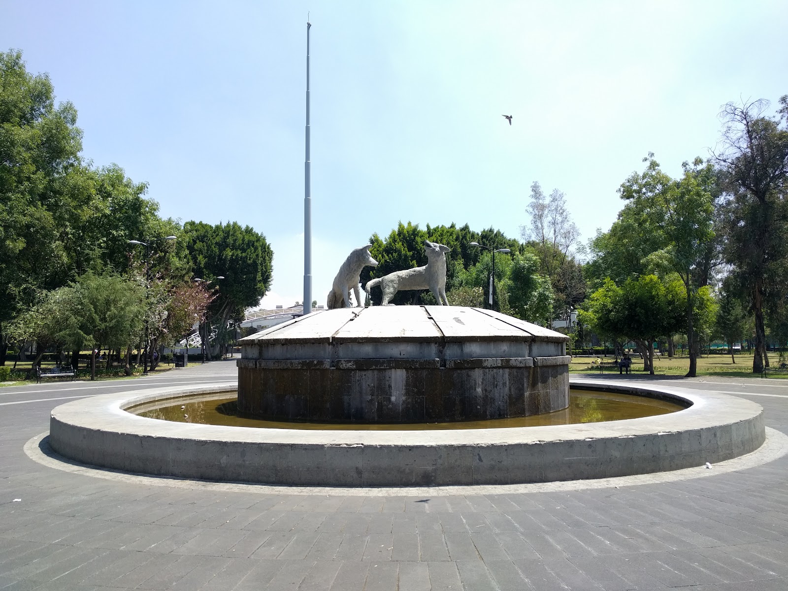 1986–1987: de la escuela Melchor Ocampo a la Alameda del Sur